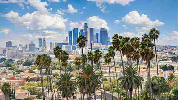 palm trees and city skyline of los angeles